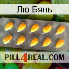 Лю Бянь cialis1